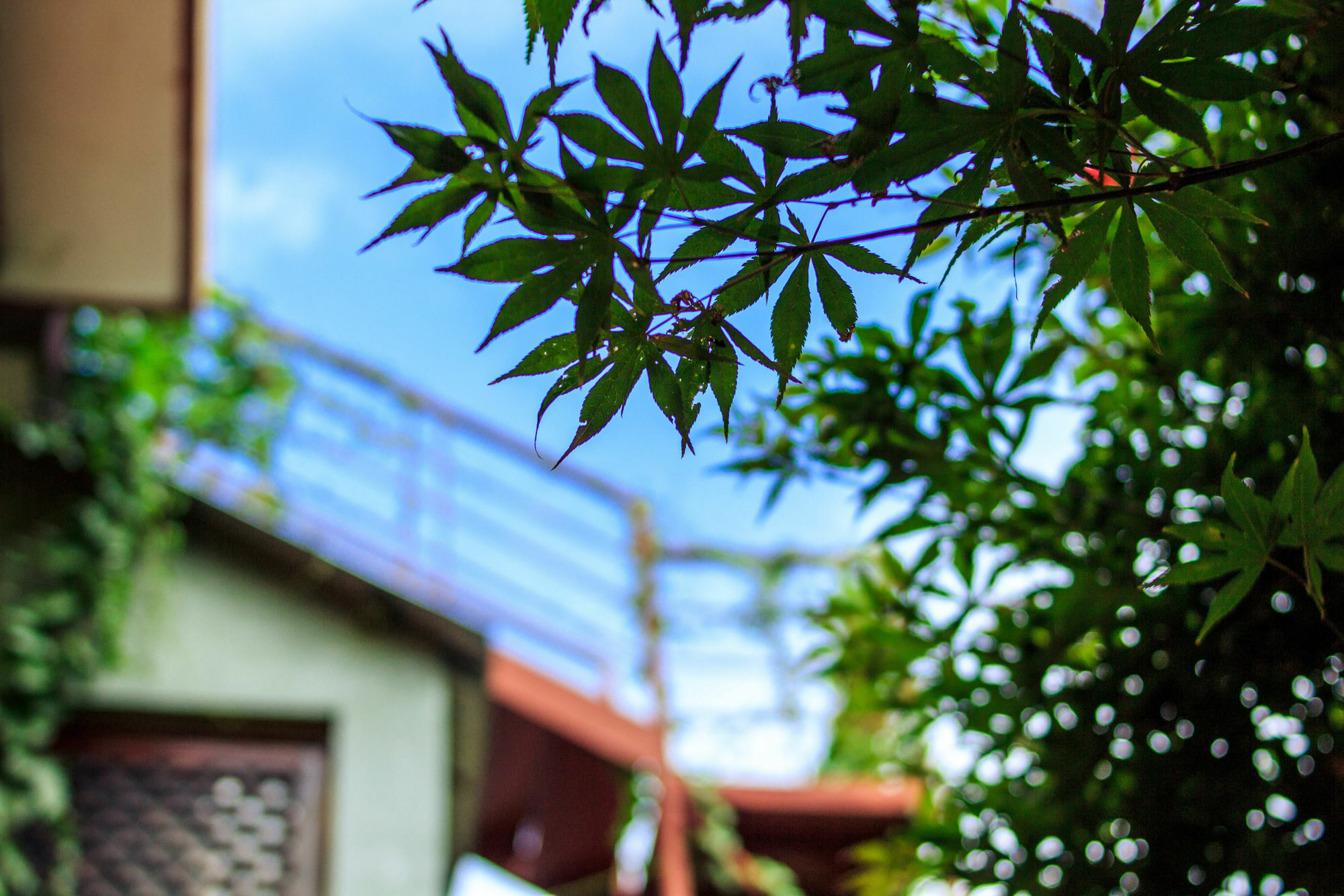 Ooh Countryard Inn ต้าหลี่ ภายนอก รูปภาพ
