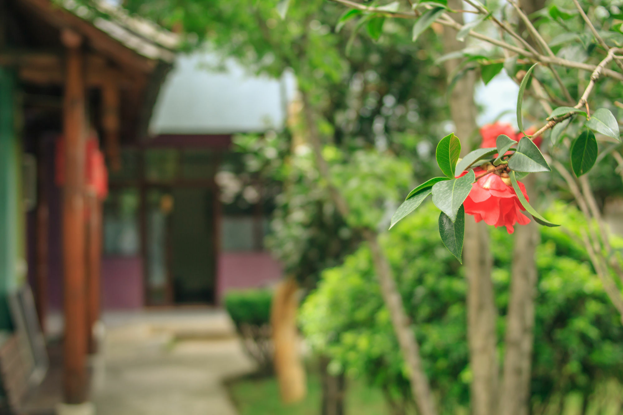 Ooh Countryard Inn ต้าหลี่ ภายนอก รูปภาพ